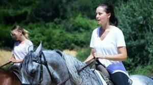 Résumé d'Alp Arslan